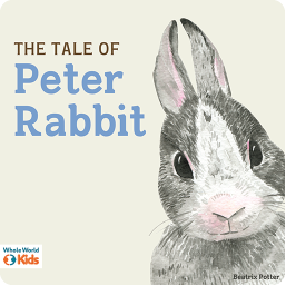 Grey and white bunny looking forward with its ears pulled together